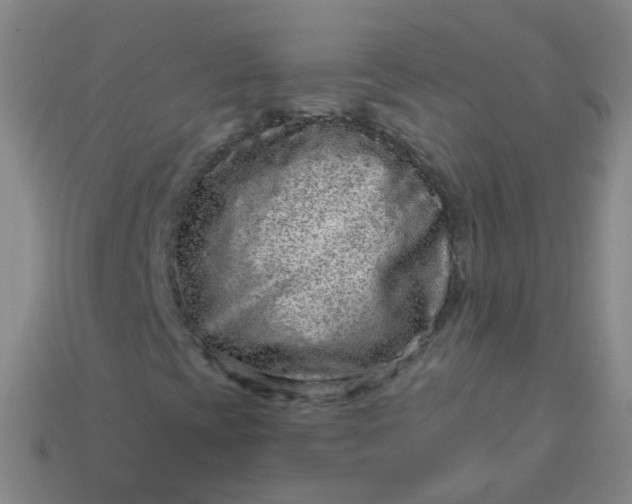 X0000114121393200910191713