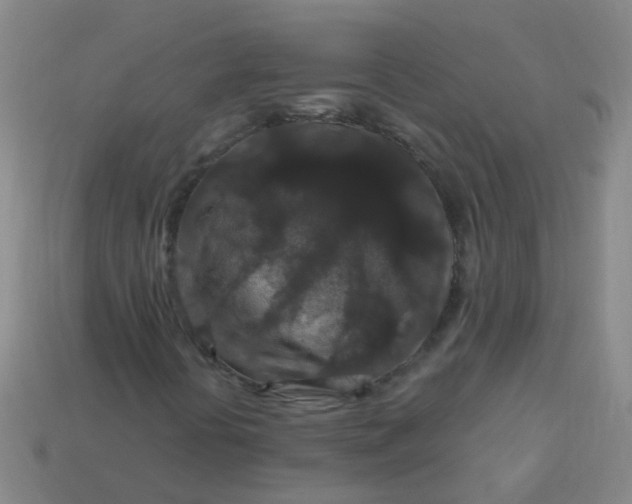 X0000114121394200910191713