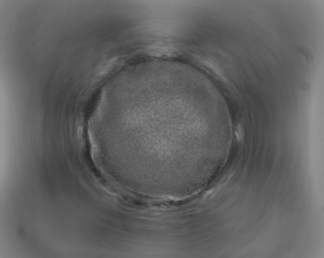 X0000114121396200910191713