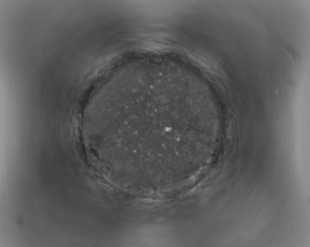 X0000114121397200910191713