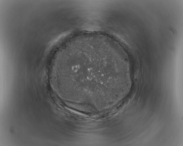 X0000114121398200910191713