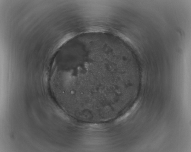 X0000114121401200910191714