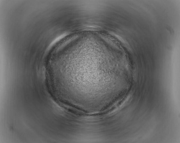 X0000114121402200910191714