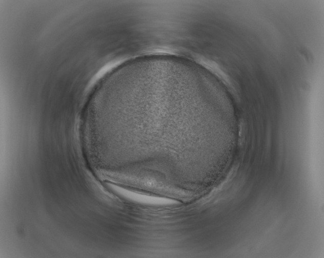 X0000114121404200910191714