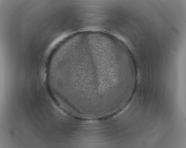 X0000114121406200910191714