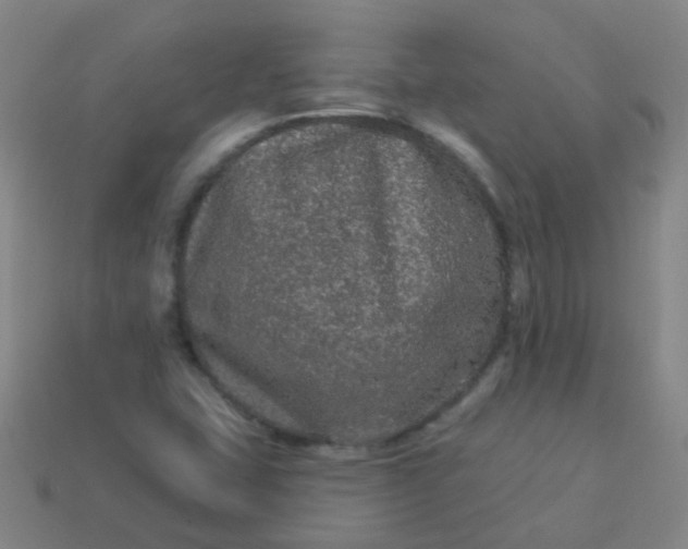 X0000114121407200910191714