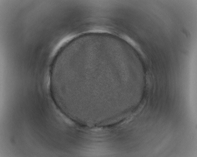 X0000114121408200910191714