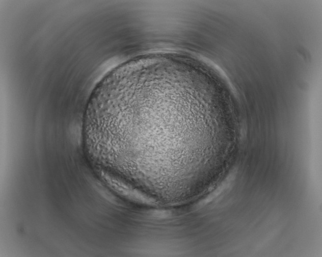 X0000114121409200910191714