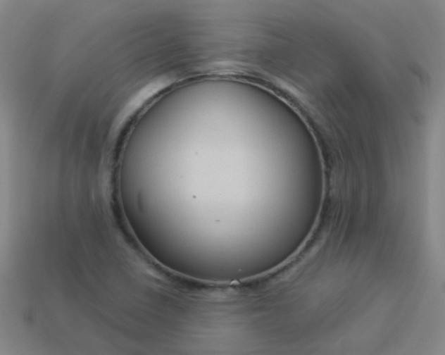 X0000114121410200910191714