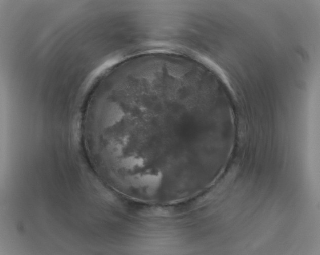 X0000114121411200910191714