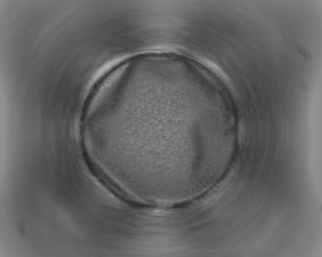 X0000114121412200910191714