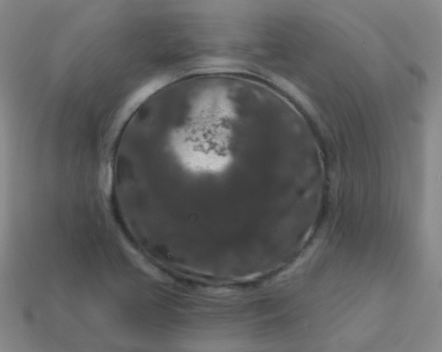 X0000114121413200910191714