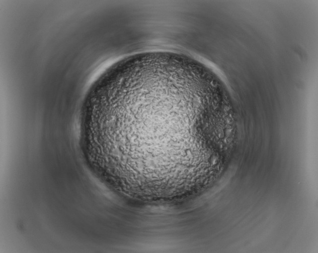 X0000114121415200910191714