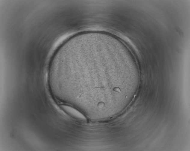 X0000114121416200910191714