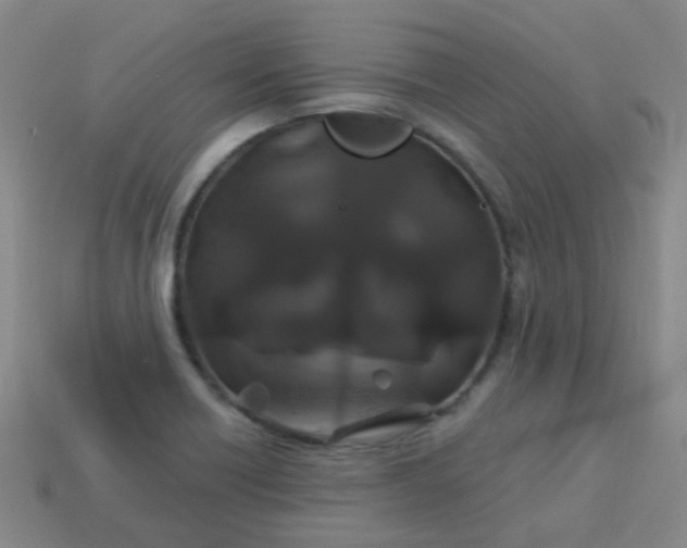 X0000114121418200910191714