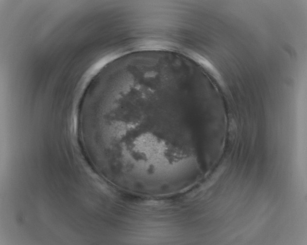 X0000114121419200910191714