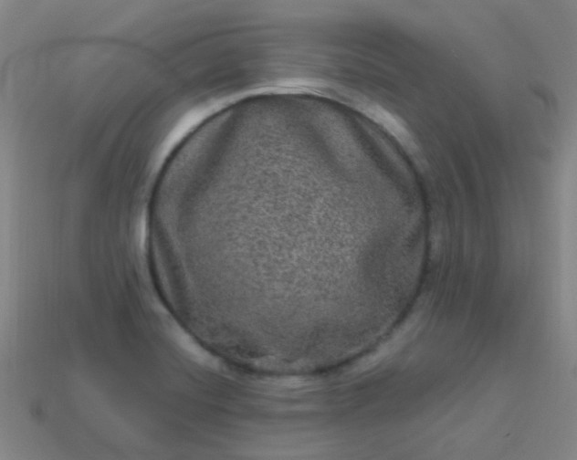 X0000114121420200910191714