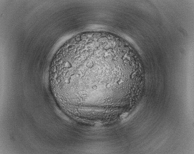 X0000114121421200910191714