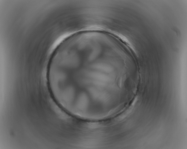 X0000114121422200910191714