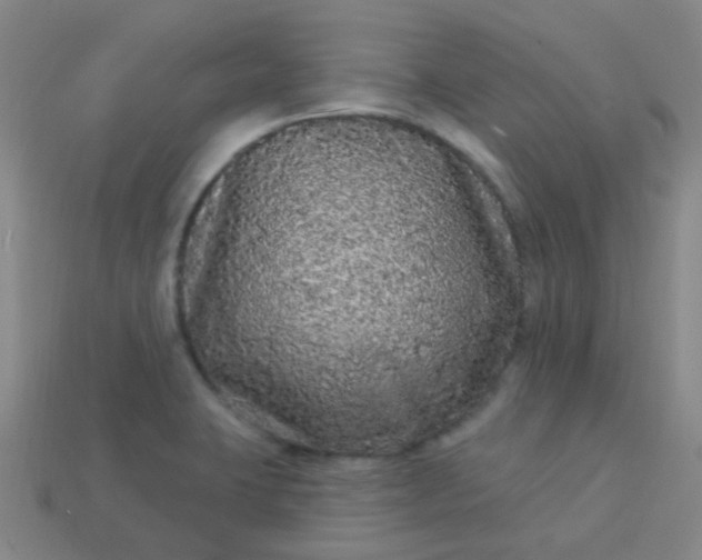 X0000114121423200910191714