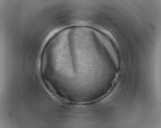 X0000114121424200910191714