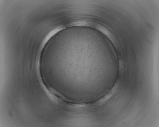 X0000114121426200910191714