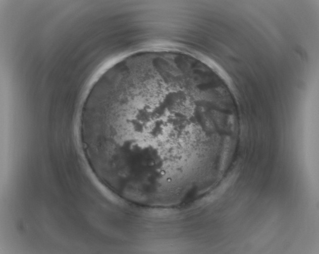 X0000114121429200910191714