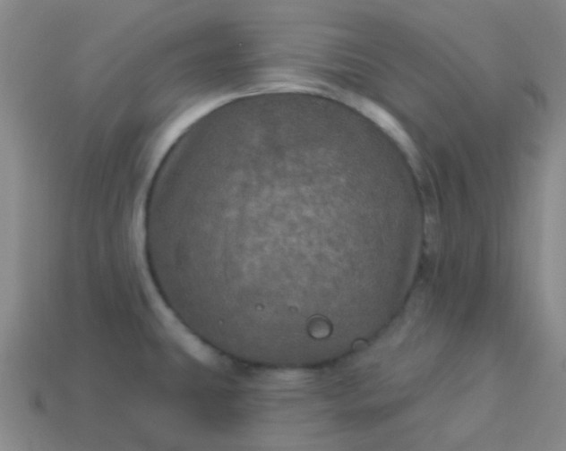 X0000114121431200910191714