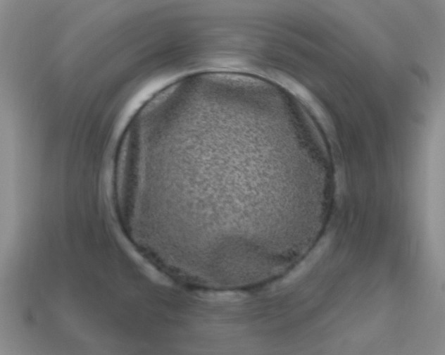 X0000114121432200910191714