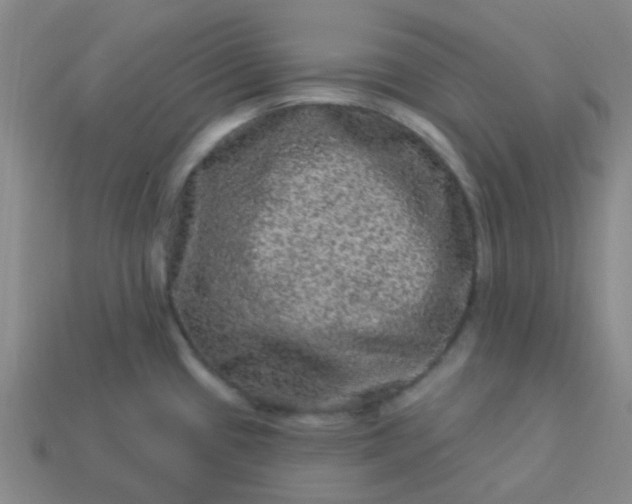 X0000114121433200910191714