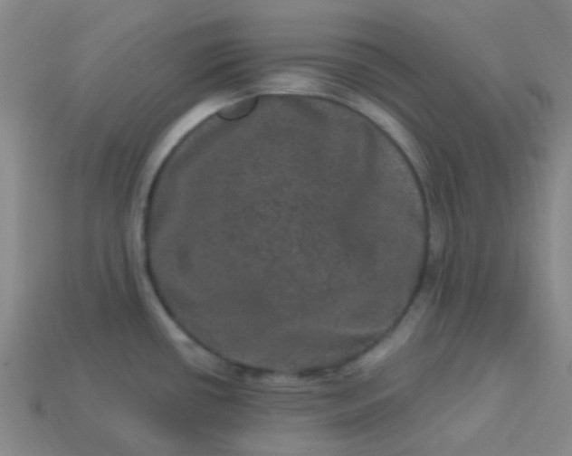 X0000114121434200910191714