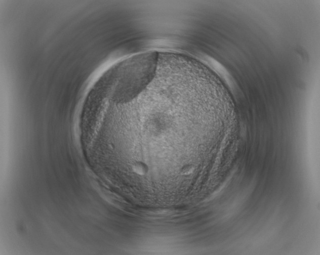 X0000114121435200910191714