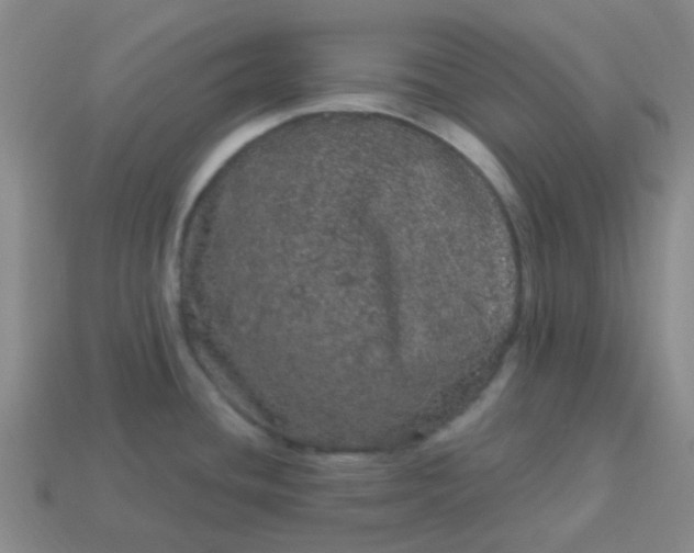 X0000114121436200910191714