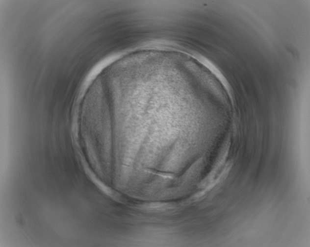 X0000114121437200910191714