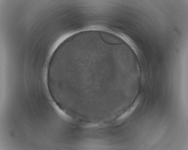 X0000114121438200910191714