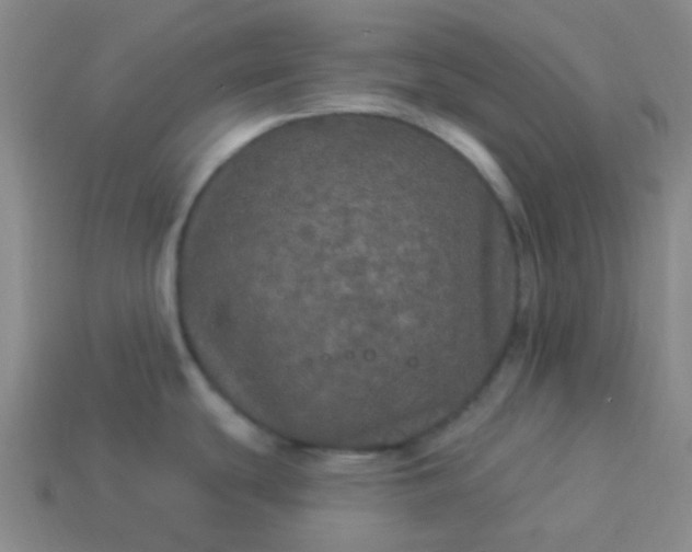 X0000114121439200910191714