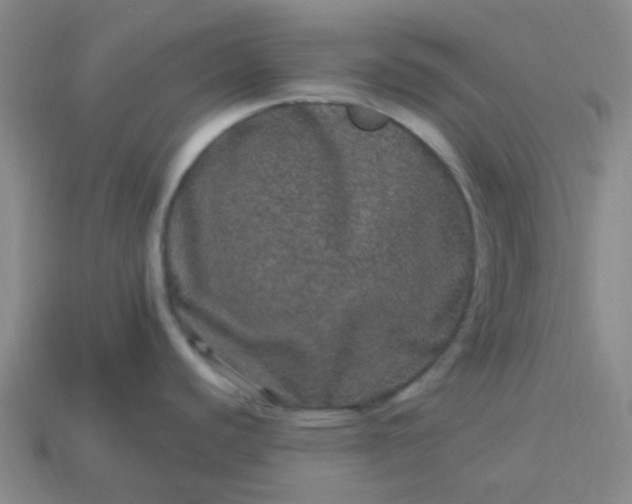 X0000114121440200910191714