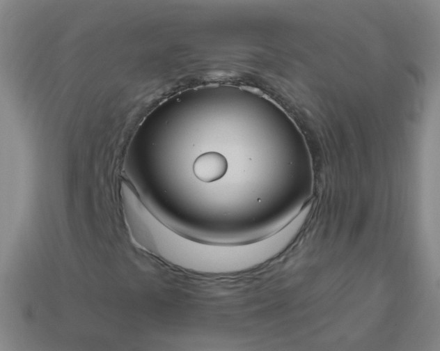 X0000114121441200910191713