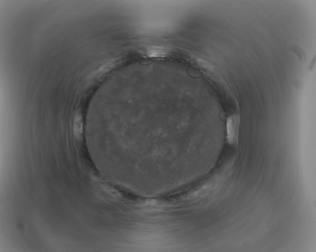 X0000114121443200910191713