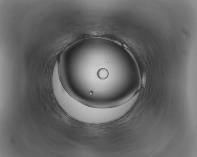 X0000114121444200910191713