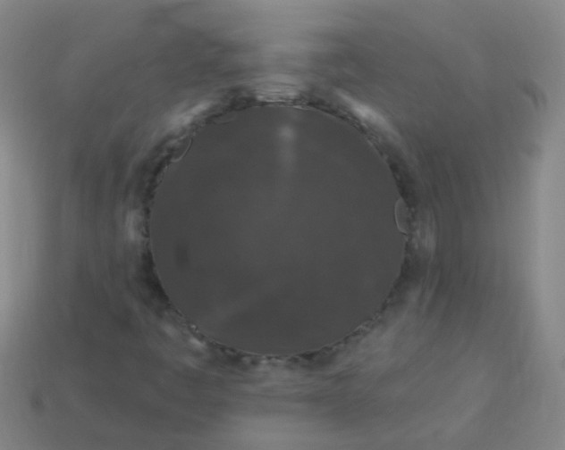 X0000114121445200910191713