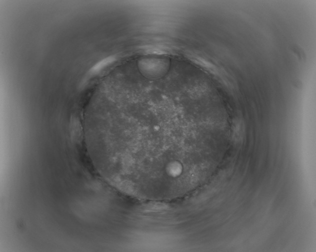 X0000114121446200910191713