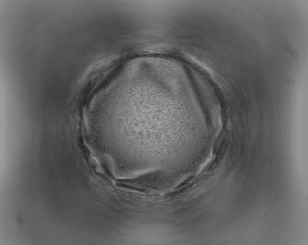 X0000114121447200910191713