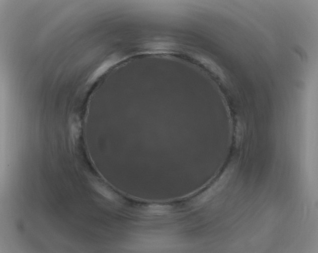 X0000114121449200910191713