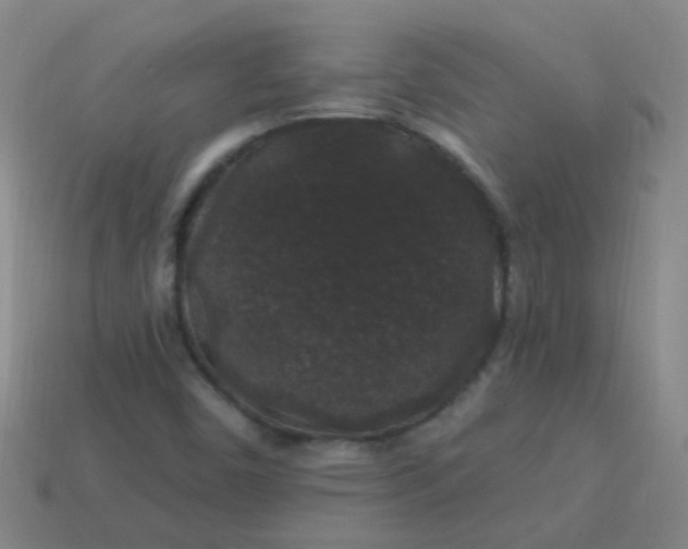 X0000114121450200910191713