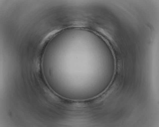 X0000114121451200910191713