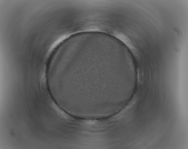 X0000114121452200910191713