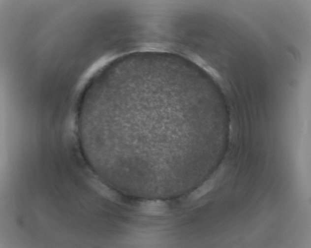 X0000114121454200910191713