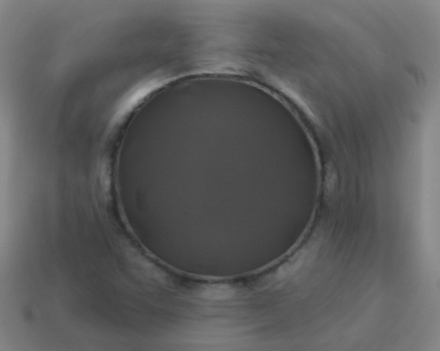 X0000114121455200910191713