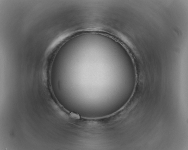 X0000114121456200910191713